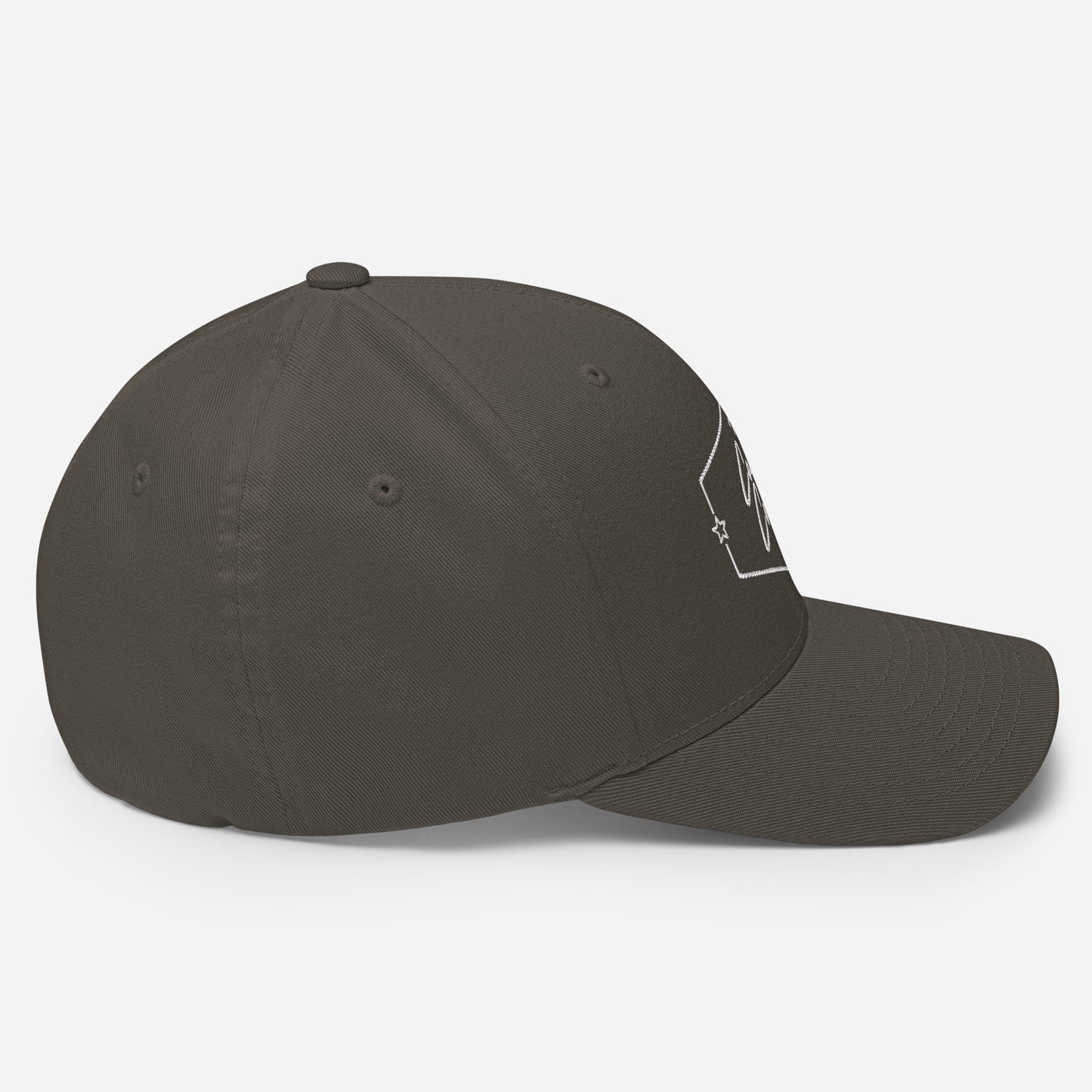 TCC Basics - Structured Twill Cap